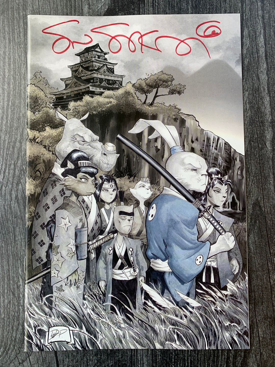 USAGI☆ Ice and Snow #1 | Signed Variants | Comic – Usagi Studios